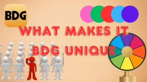 illustration text 'what makes it bdg win unique'